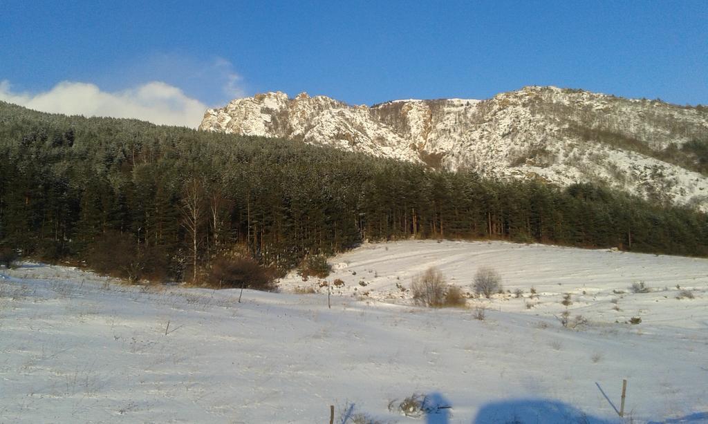 Chuchura Family Hotel Koprivştitsa Dış mekan fotoğraf